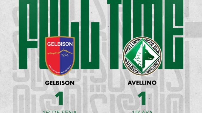Highlights Gelbison-Avellino 1-1 (Lega Pro 2022-2023)