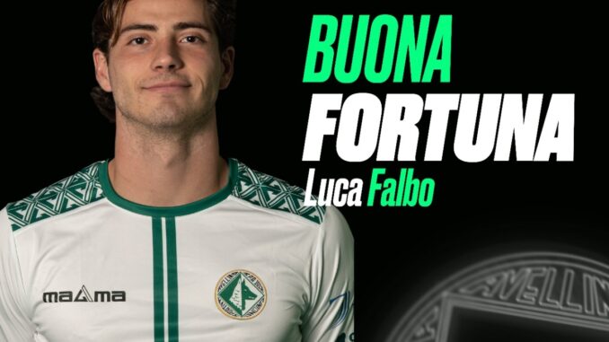 Luca Falbo - Avellino Calcio